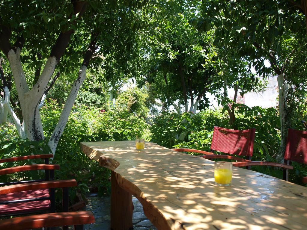 Εlegant Villa Liakos Pigi  ภายนอก รูปภาพ